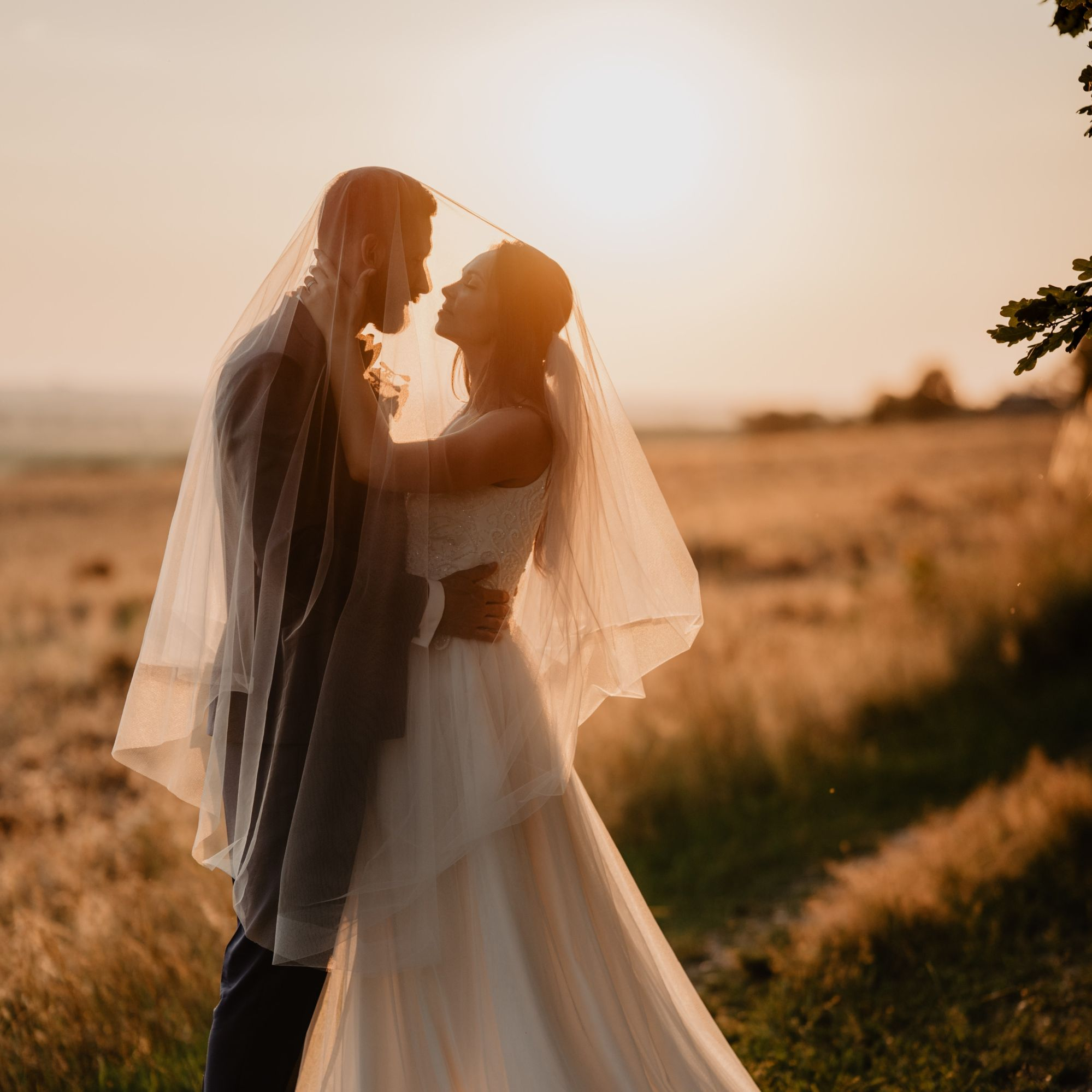 Bodas
